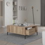 Hanah Home Mesa de Centro Topo con Estante de Almacenamiento